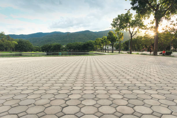 Best Custom Driveway Pavers  in Mayflower, AR